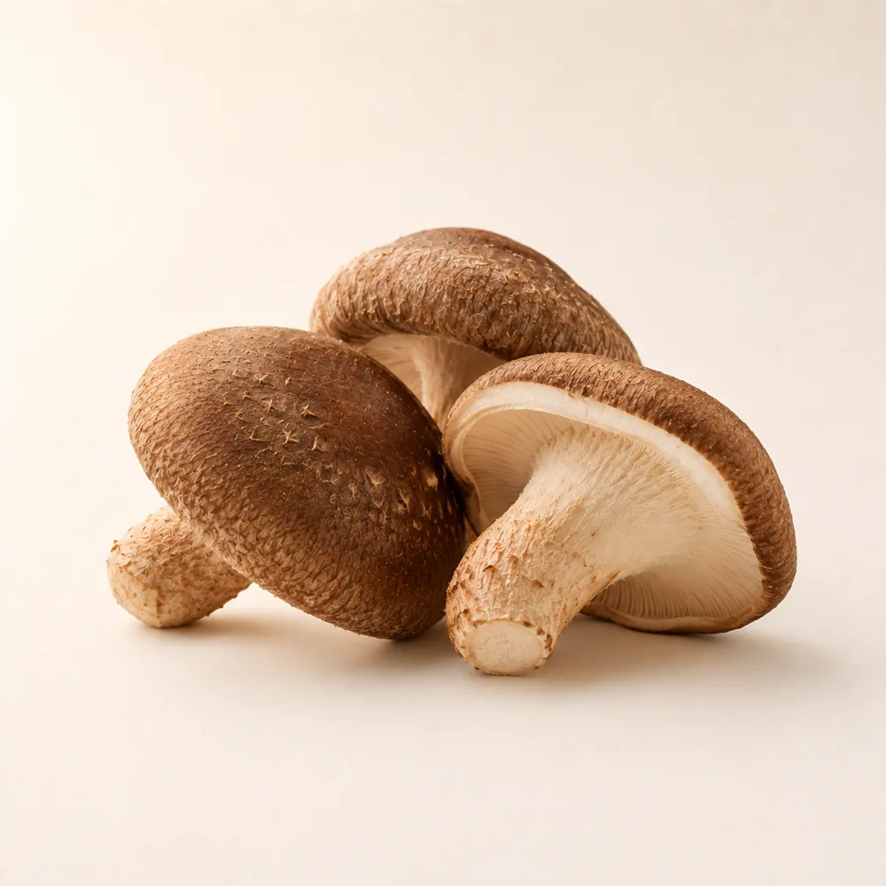 Shiitake